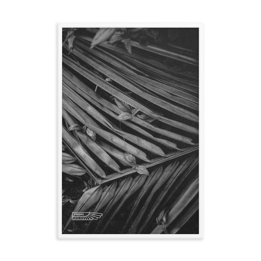manuela palms //