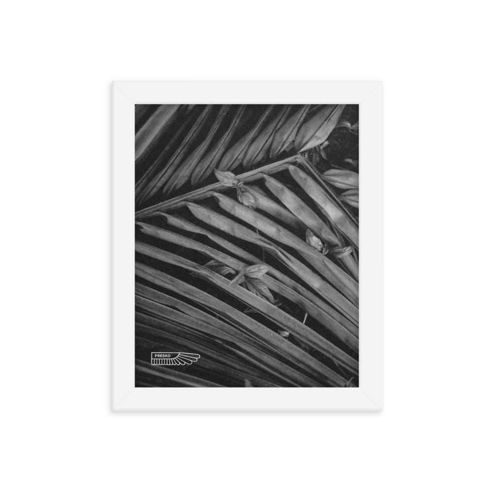 manuela palms //